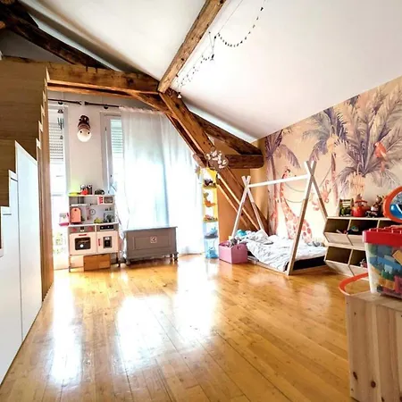 Apartment Charming Family Duplex In The 7th -
